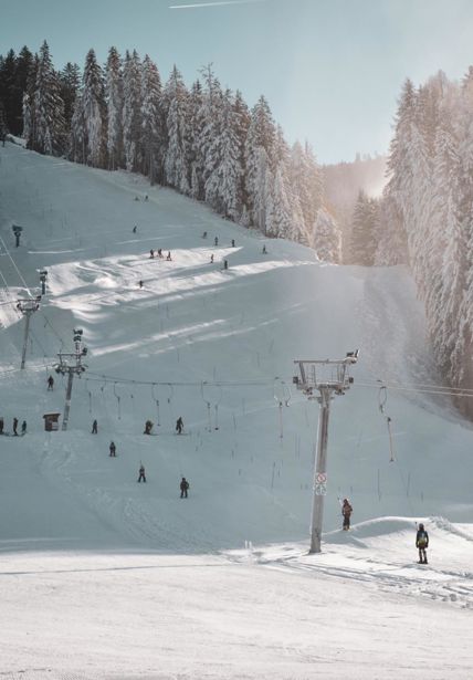 2025-11-25-huskirentals-241